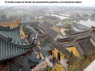 El cerebro puede ser llenado con pensamientos positivos y con decisiones sabias !
 