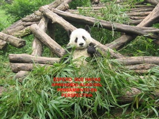 ESPERO QUE HAYAS
APRENDIDO ALGO DEL
  PENSAMIENTO EN
    PERSPECTIVA
 