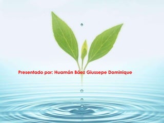 Presentado por: Huamán Báez Giussepe Dominique