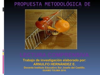 LECTURA COMPRENSIVA Trabajo de investigación elaborado por: ARNULFO HERNÁNDEZ E. Docente Instituto Educativo Sor Josefa del Castillo. GUAMO TOLIMA 2010. 