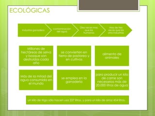 ECOLÓGICAS

                                                 Diez veces mas         Mas de tres
                           contaminación
   Industria ganadera                                que los           veces que las
                             del agua
                                                    humanos            otra industrias




     Millones de
  hectáreas de selva             se convierten en
                                                                   alimento de
    y bosque son               tierra de pastoreo y
                                                                    animales
   destruidos cada                   en cultivos
         año


                                                             para producir un kilo
  Más de la mitad del
                                  se emplea en la                de carne son
  agua consumida en
                                     ganadería                necesarios más de
      el mundo
                                                             20.000 litros de agua



       un kilo de trigo sólo hacen usa 227 litros, y para un kilo de arroz 454 litros.
 