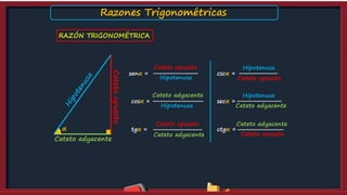 senα =
Hipotenusa
Cateto opuesto
Hipotenusa
Cateto adyacente
cosα =
Cateto adyacente
Cateto opuesto
tgα =
cscα =
Hipotenusa
Cateto opuesto
Hipotenusa
Cateto adyacente
secα =
Cateto adyacente
Cateto opuesto
ctgα =
Catetoopuesto
Cateto adyacente
α
RAZÓN TRIGONOMÉTRICA
Razones Trigonométricas
 