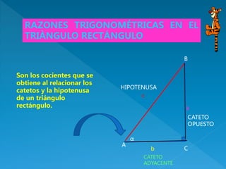 B
C
A
c
b
a
Son los cocientes que se
obtiene al relacionar los
catetos y la hipotenusa
de un triángulo
rectángulo.
RAZONES TRIGONOMÉTRICAS EN EL
TRIÀNGULO RECTÁNGULO
HIPOTENUSA
CATETO
ADYACENTE
CATETO
OPUESTO
α