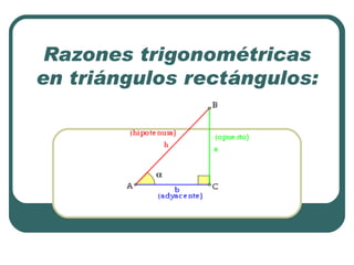 Razones trigonométricas en triángulos rectángulos: 
