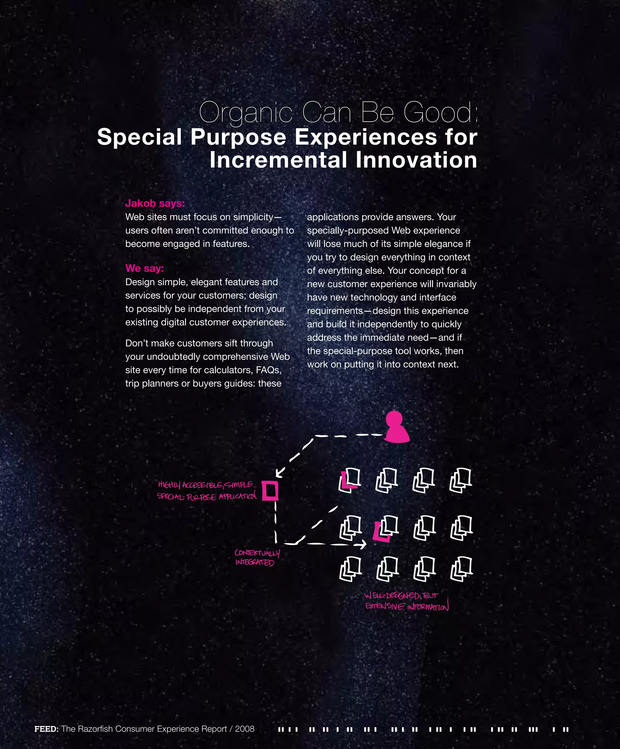 Razorfish - Consumer Experience Report 2008