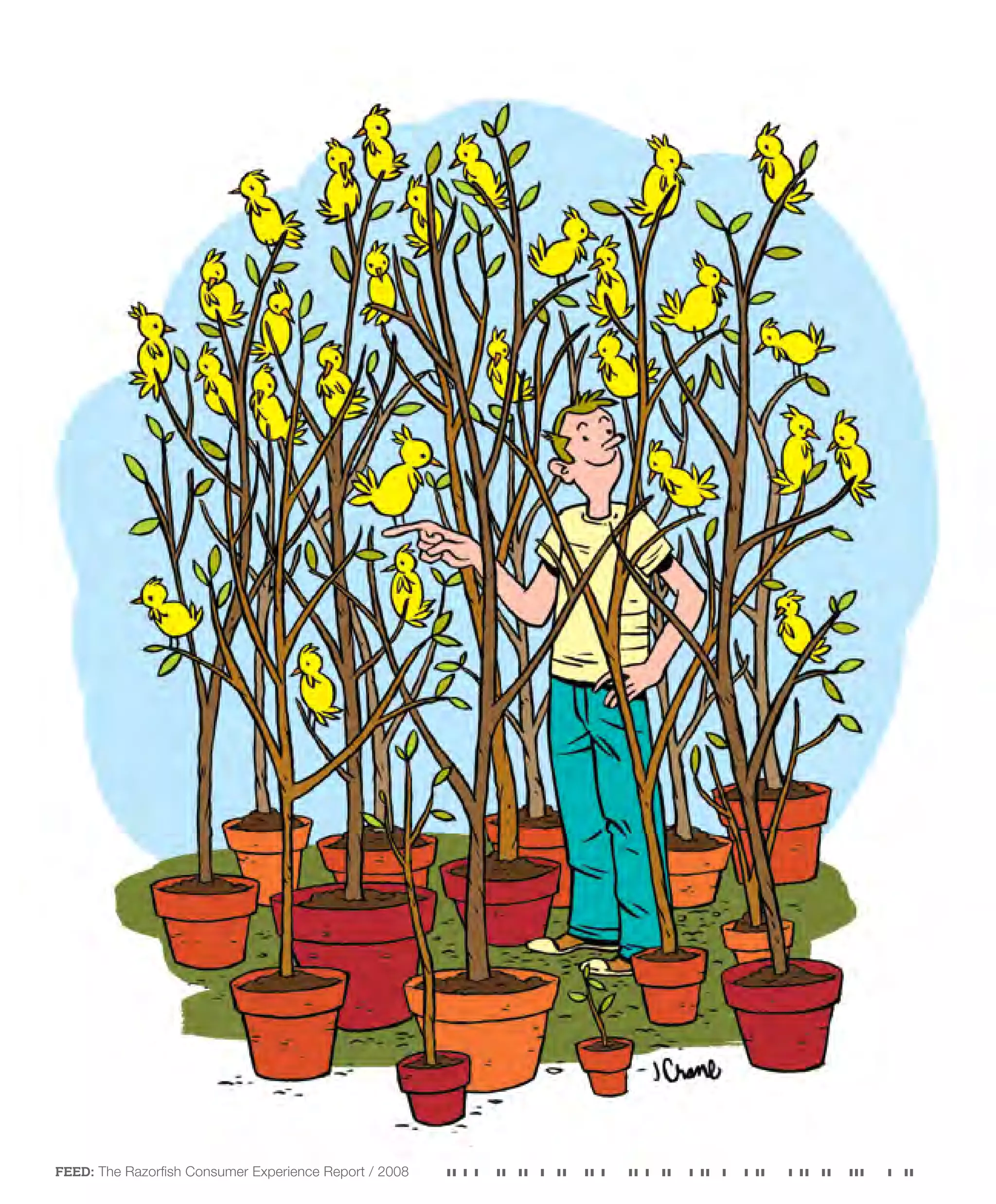 Razorfish - Consumer Experience Report 2008