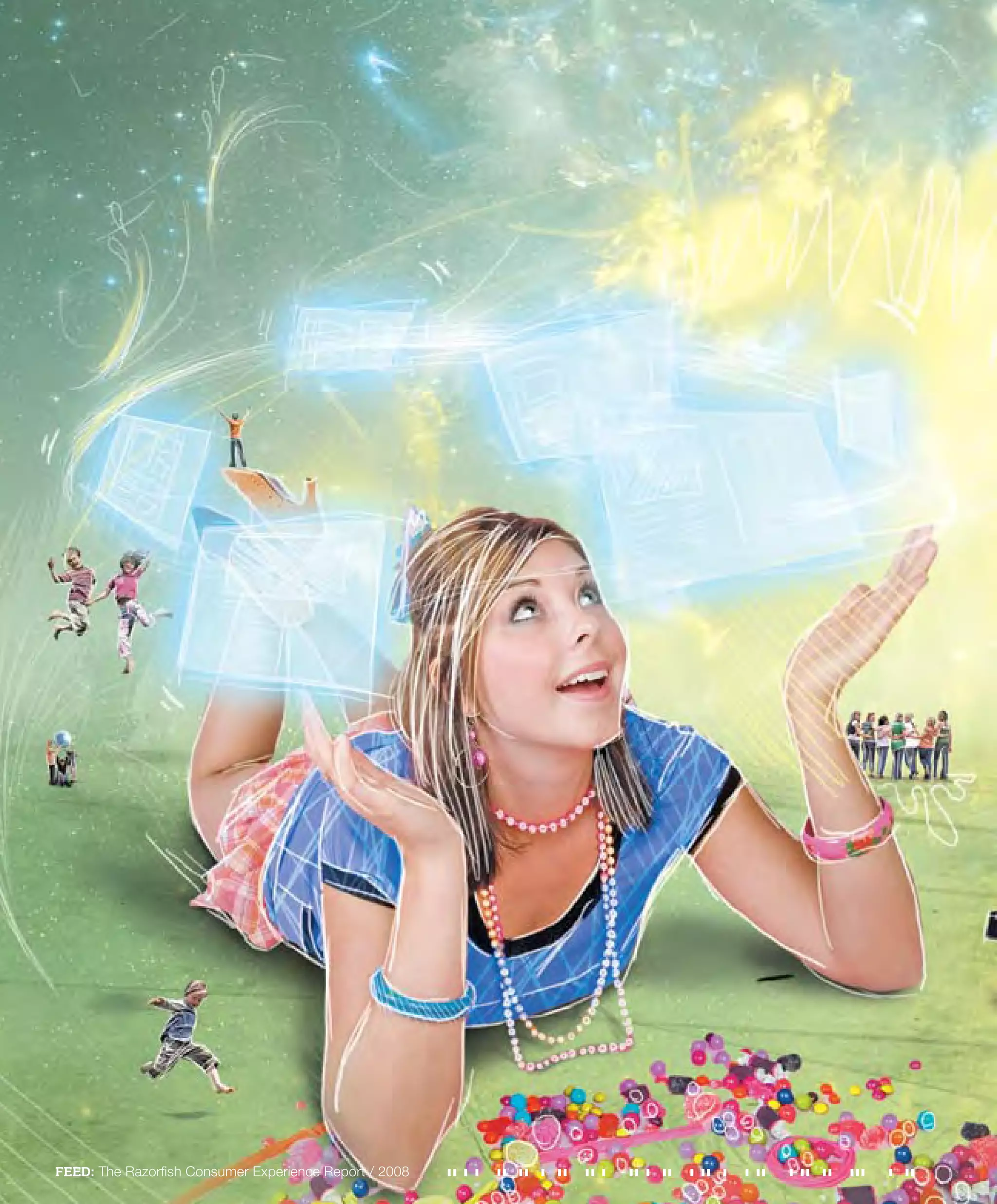 Razorfish - Consumer Experience Report 2008