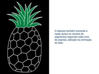 O abacaxi também esconde a
razão áurea no número de
segmentos seguindo cada uma
de espirais, atenção na animação
ao lado.
 