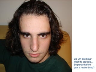 Eis um exemplar
ideal da espécie...
Se perguntando
qual a razão disso?
 