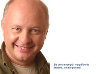 Eis outro exemplar magnífico da
espécie, já sabe porque?
 