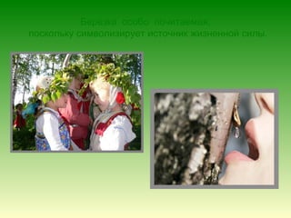 Берёзка особо почитаемая,
поскольку символизирует источник жизненной силы.
 