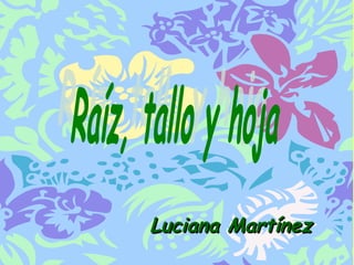 Luciana Martínez Raíz, tallo y hoja