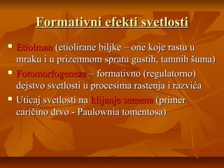 Formativni efekti svetlosti






Etiolman (etiolirane biljke – one koje rastu u
mraku i u prizemnom spratu gustih, tamnih šuma)
Fotomorfogeneza – formativno (regulatorno)
dejstvo svetlosti u procesima rastenja i razvića
Uticaj svetlosti na klijanje semena (primer
caričino drvo - Paulownia tomentosa)

 
