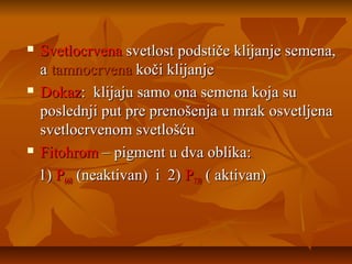 Svetlocrvena svetlost podstiče klijanje semena,
a tamnocrvena koči klijanje
 Dokaz: klijaju samo ona semena koja su
poslednji put pre prenošenja u mrak osvetljena
svetlocrvenom svetlošću
 Fitohrom – pigment u dva oblika:
1) P660 (neaktivan) i 2) P730 ( aktivan)


 