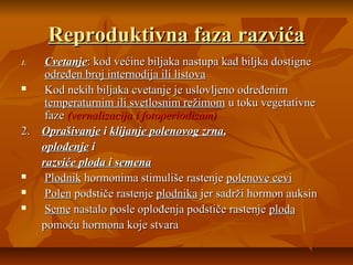 Reproduktivna faza razvića
Cvetanje: kod većine biljaka nastupa kad biljka dostigne
određen broj internodija ili listova

Kod nekih biljaka cvetanje je uslovljeno određenim
temperaturnim ili svetlosnim režimom u toku vegetativne
faze (vernalizacija i fotoperiodizam)
2. Oprašivanje i klijanje polenovog zrna,
oplođenje i
razviće ploda i semena

Plodnik hormonima stimuliše rastenje polenove cevi

Polen podstiče rastenje plodnika jer sadrži hormon auksin

Seme nastalo posle oplođenja podstiče rastenje ploda
pomoću hormona koje stvara
1.

 