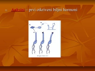 1)

Auksini – prvi otkriveni biljni hormoni

 