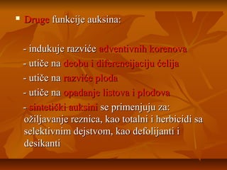 

Druge funkcije auksina:
- indukuje razviće adventivnih korenova
- utiče na deobu i diferencijaciju ćelija
- utiče na razviće ploda
- utiče na opadanje listova i plodova
- sintetički auksini se primenjuju za:
ožiljavanje reznica, kao totalni i herbicidi sa
selektivnim dejstvom, kao defolijanti i
desikanti

 