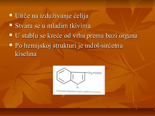 Razviće biljaka