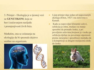 3. Primjer - Ekologija je u tjesnoj vezi
sa GENETIKOM, koja se
bavi izučavanjem nasljeđa
i promjenjivosti živih bića.
Međutim, ona se oslananja na
ekologiju da bi spoznala dejstvo
sredine na organizam.
 Lijep primjer daje jedan od najpoznatijih
ekologa (Elton, 1927 ) na zečevima u
Kanadi.
 Kada su nepovoljni klimatski uslovi,
selekcija je oštra, mužjaci su manje
sposobni da pronađu ženke, a pri
povoljnim uslovima,brojnost je visoka pa
selekcija djeluje na povećanje otpornosti
prema zarazama i sposobnosi mužjaka da
u kompeticiji sa drugim mužjacima dođe
do ženke.
 