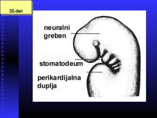 35.dan35.dan35.dan35.dan
 
