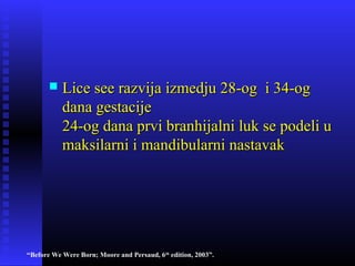 “Before We Were Born; Moore and Persaud, 6th
edition, 2003”.
 Lice see razvija izmedju 28-og i 34-ogLice see razvija izmedju 28-og i 34-og
dana gestacijedana gestacije
24-og dana prvi branhijalni luk se podeli u24-og dana prvi branhijalni luk se podeli u
maksilarni i mandibularni nastavakmaksilarni i mandibularni nastavak
 