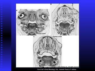 Ten Cate’s Oral Histology, Ed., Antonio Nanci, 6th
edition
 