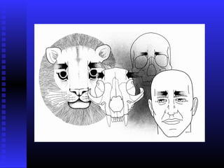 Razvoj lica i vilica