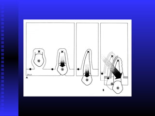 Razvoj lica i vilica