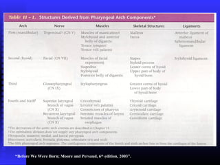 “Before We Were Born; Moore and Persaud, 6th
edition, 2003”.
 