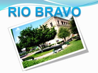 RIO BRAVO 