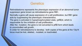 Genetics
Retinoblastoma represents the phenotypic expression of an abnormal tumor
suppressor gene known as retinoblastoma gene RB1.
Normally a gene will cause expression of a cell proliferation, but RB1 gene
acts by suppressing the phenotypic characteristics.
The gene is activated in hypophosphorylated state, (pRB)4, which is
responsible for the inhibition of cell proliferation.
After the mutation, the gene is not converted to pRB form which leads
to uncontrolled cell growth.
In order for retinoblastoma to develop; both copies of the gene at the 13q14
locus must be lost, deleted, mutated, or inactivated.
 