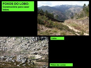 Hórreos en Vilameá (Lobios)
 