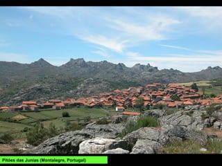 EXPLOTACIÓNS MINEIRAS:
Especialmente para a explotación do volframio, moi activas durante a II Guerra
Mundial, pecharon definitivamente na década de 1970.
Os Carríns (Portugal), Mina das Sombras (Lobios).
Os Carríns
 