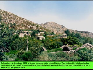 PRINCIPAIS ACTIVIDADES:
Agrogandeira, forestal, turismo, producción enerxía eléctrica...
Unha das principais actividades das serras é o pastoreo.
Na serra do laboreiro consérvase unha raza autóctona de can, o can da serra.
 