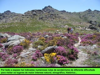 Pitóes das Junias (Montalegre, Portugal)
 