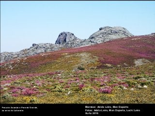 Montaxe: Adela Leiro, Mon Daporta
Fotos: Adela Leiro, Mon Daporta, Luchi Leiro
Xuño 2016
Pena de Anamão e Penedo Grande,
na serra do Laboreiro
 