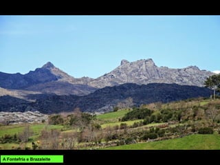 Cabras feras nas Gralleiras
 