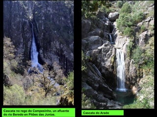 RÍO VEZ: nace na serra de Soajo e ten un percorrido de 36 km. Xúntase co
Lima preto de Ponte da Barca.
Arcos de Valdevez
 