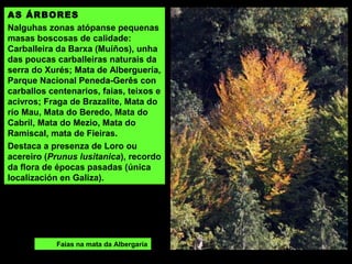 LAGOAS:
Nos cumes achairados das serras consérvanse algunhas lagoas naturais (Marinho) e outras
reforzadas por pequenas presas (A Peneda, Os Carríns, Olelas).
Lagoa da Meadinha na serra da Peneda.
 