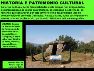 Lagarta rabuda (Psammodromus algirus). Gosta de lugares cálidos,
cubertos de mato baixo, polo que só se atopa na metade sur de Galiza.
 