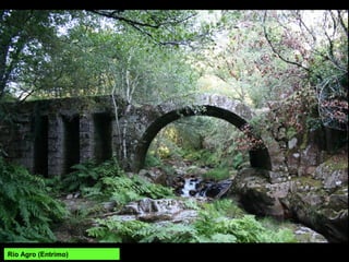 Santa Comba de Bande, unha das pricipais
representacións da arte visigótica na
Península, construída a finais do século VII.
 