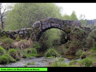 Pontella en Queguas
(Río da Montaña)
PONTES
Castro Laboreiro, Cava da
Velha (Mezio), Dorna, A
Peneda, Soaxo, río Lobios,
Ferreiros (Entrimo), Arcos de
Valdevez, Ponte da Barca...
 
