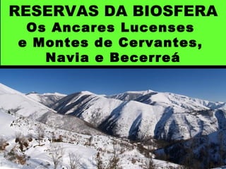 RESERVAS DA BIOSFERA
Os Ancares Lucenses
e Montes de Cervantes,
Navia e Becerreá
 
