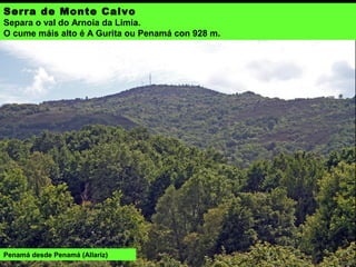 Serra de Monte Calvo
Separa o val do Arnoia da Limia.
O cume máis alto é A Gurita ou Penamá con 928 m.
Penamá desde Penamá (Allariz)
 