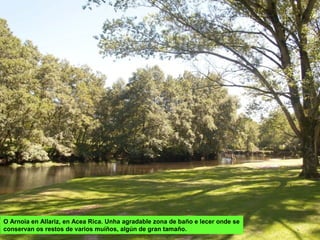 O Arnoia en Allariz, en Acea Rica. Unha agradable zona de baño e lecer onde se
conservan os restos de varios muíños, algún de gran tamaño.
 