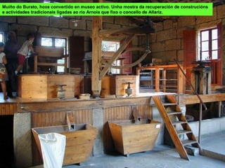 Muíño do Burato, hoxe convertido en museo activo. Unha mostra da recuperación de construcións
e actividades tradicionais ligadas ao río Arnoia que fixo o concello de Allariz.
 