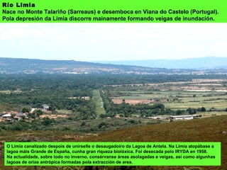 Río Limia
Nace no Monte Talariño (Sarreaus) e desemboca en Viana do Castelo (Portugal).
Pola depresión da Limia discorre mainamente formando veigas de inundación.
O Limia canalizado despois de unírselle o desaugadoiro da Lagoa de Antela. Na Limia atopábase a
lagoa máis Grande de España, cunha gran riqueza biolóxica. Foi desecada polo IRYDA en 1958.
Na actualidade, sobre todo no inverno, consérvanse áreas asolagadas e veigas, así como algunhas
lagoas de orixe antrópica formadas pola extracción de area.
 