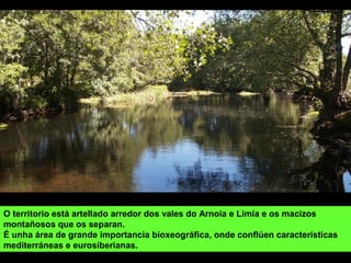 O territorio está artellado arredor dos vales do Arnoia e Limia e os macizos
montañosos que os separan.
É unha área de grande importancia bioxeográfica, onde conflúen características
mediterráneas e eurosiberianas.
 