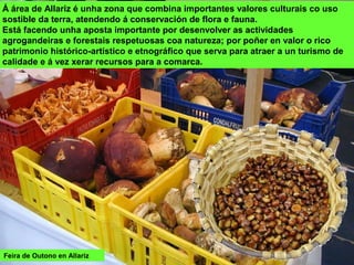 Á área de Allariz é unha zona que combina importantes valores culturais co uso
sostible da terra, atendendo á conservación de flora e fauna.
Está facendo unha aposta importante por desenvolver as actividades
agrogandeiras e forestais respetuosas coa natureza; por poñer en valor o rico
patrimonio histórico-artístico e etnográfico que serva para atraer a un turismo de
calidade e á vez xerar recursos para a comarca.
Feira de Outono en Allariz
 