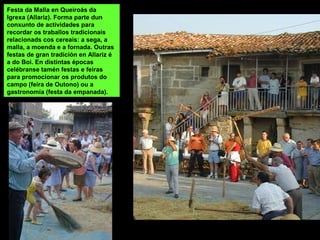 Festa da Malla en Queiroás da
Igrexa (Allariz). Forma parte dun
conxunto de actividades para
recordar os traballos tradicionais
relacionads cos cereais: a sega, a
malla, a moenda e a fornada. Outras
festas de gran tradición en Allariz é
a do Boi. En distintas épocas
celébranse tamén festas e feiras
para promocionar os produtos do
campo (feira de Outono) ou a
gastronomía (festa da empanada).
 